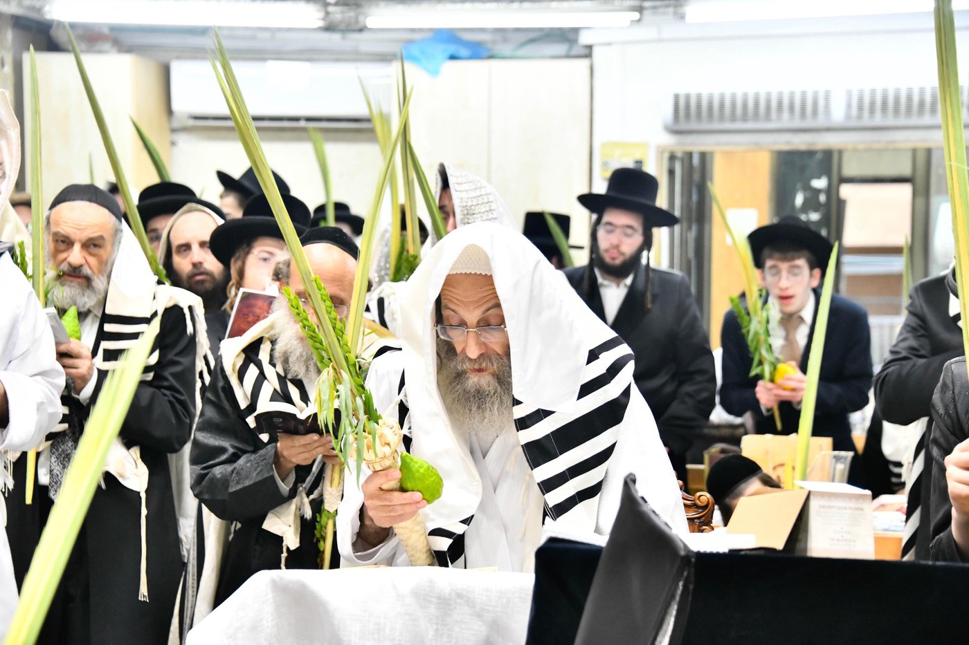 הושענא רבה אצל הגה"צ רבי אלימלך בידרמן