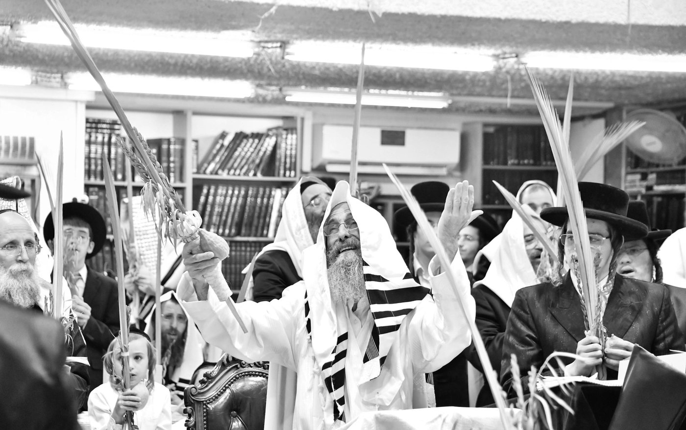 הושענא רבה אצל הגה"צ רבי אלימלך בידרמן