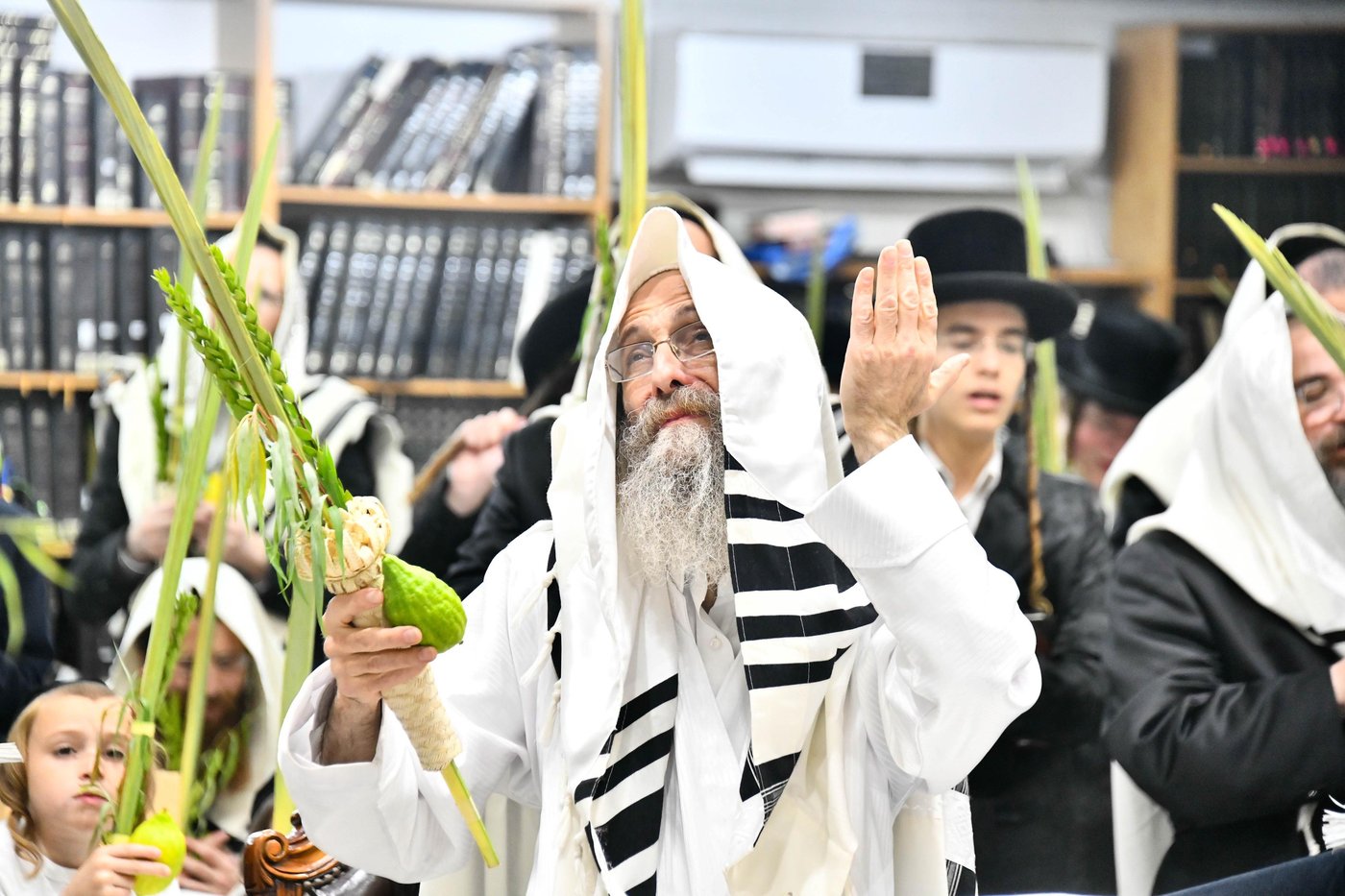הושענא רבה אצל הגה"צ רבי אלימלך בידרמן
