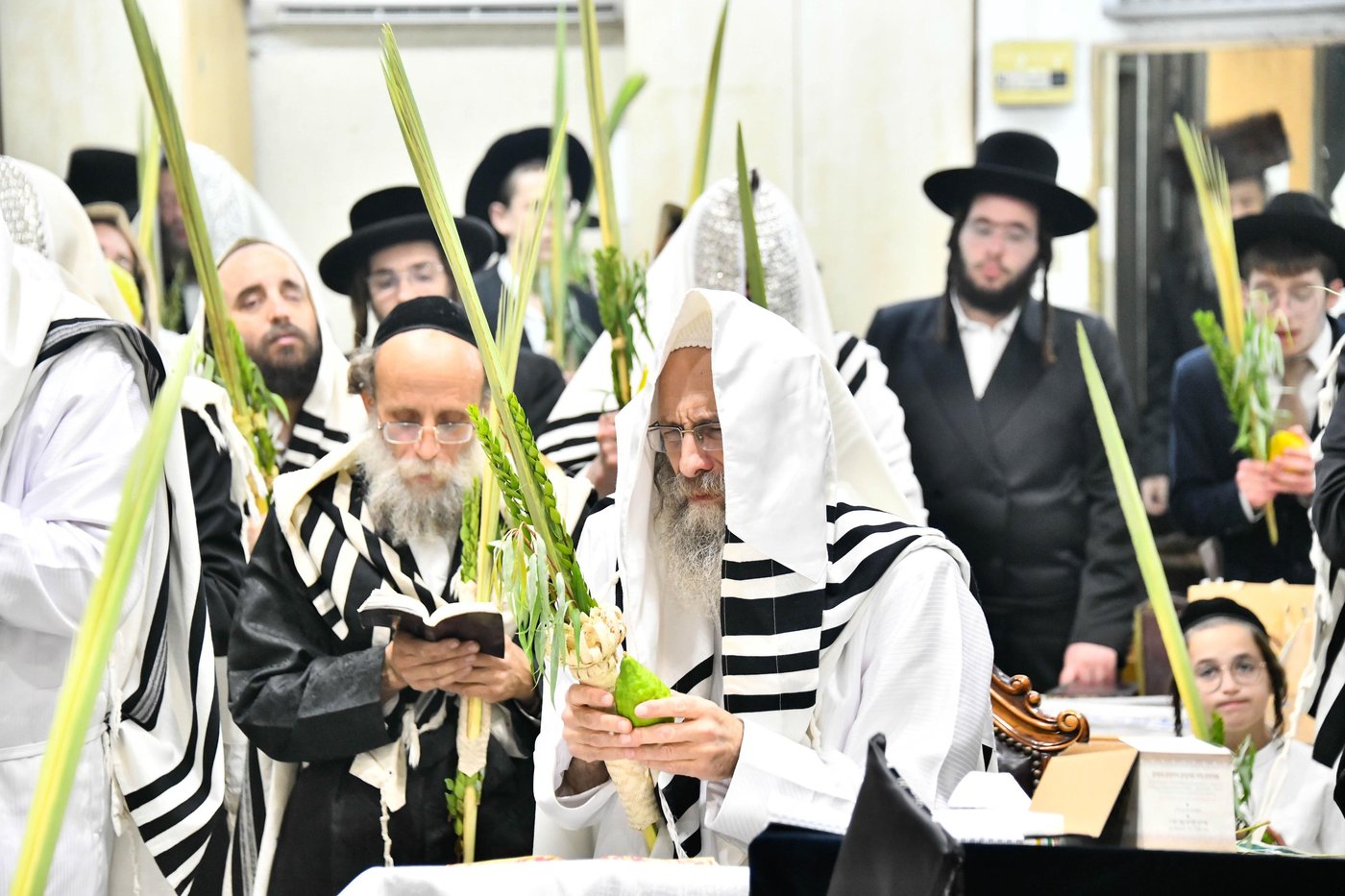 הושענא רבה אצל הגה"צ רבי אלימלך בידרמן