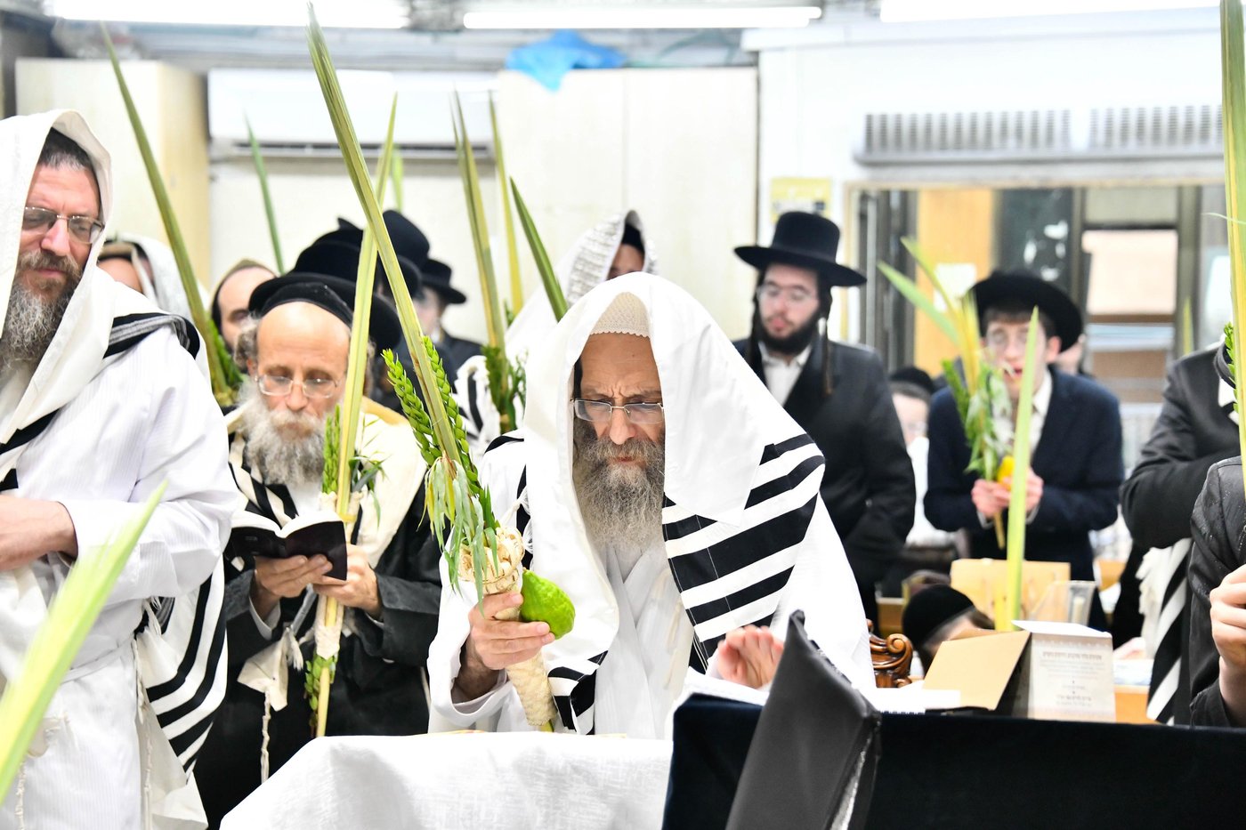 הושענא רבה אצל הגה"צ רבי אלימלך בידרמן
