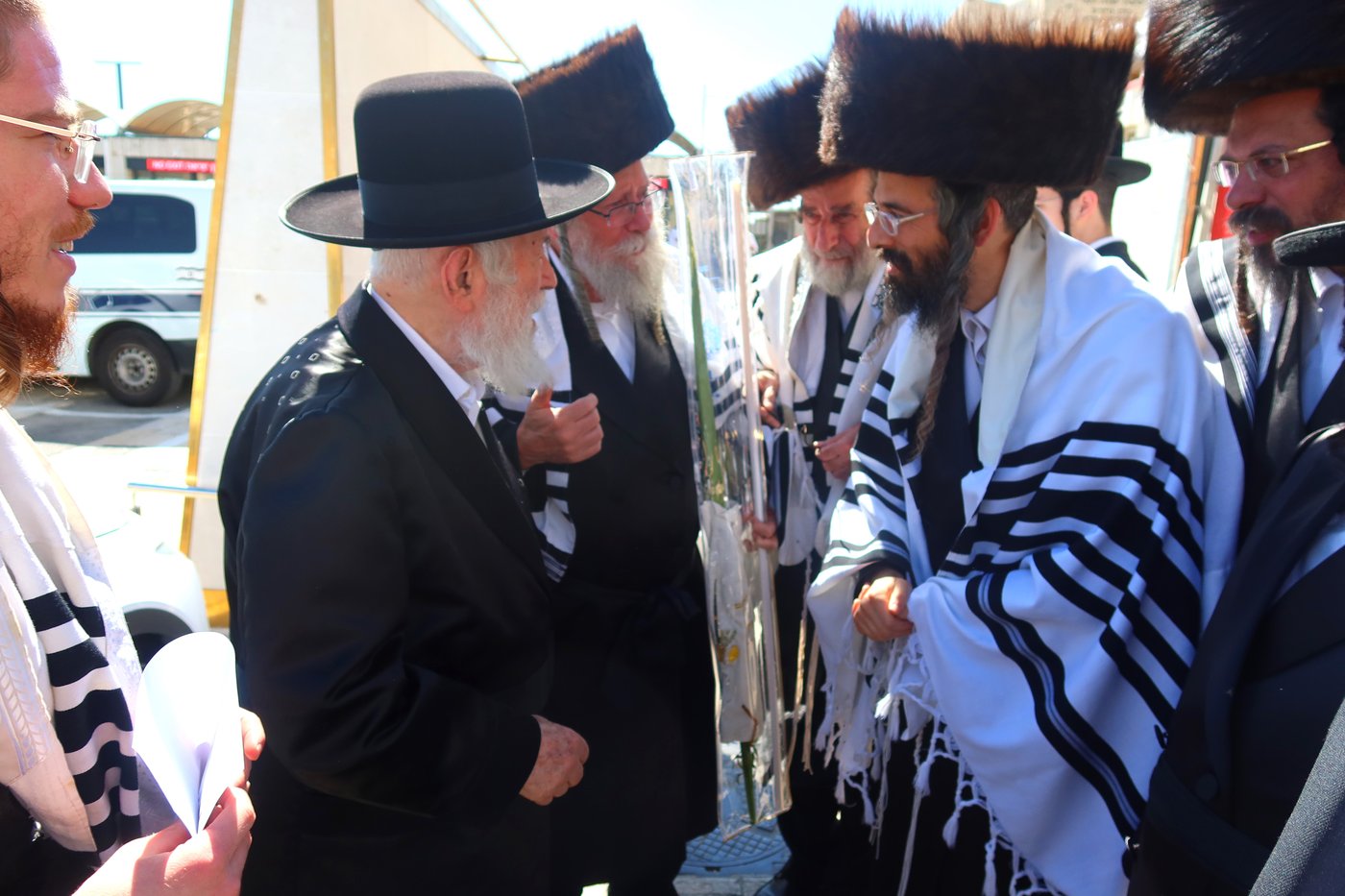 סוכות בחצה"ק זוועיהל