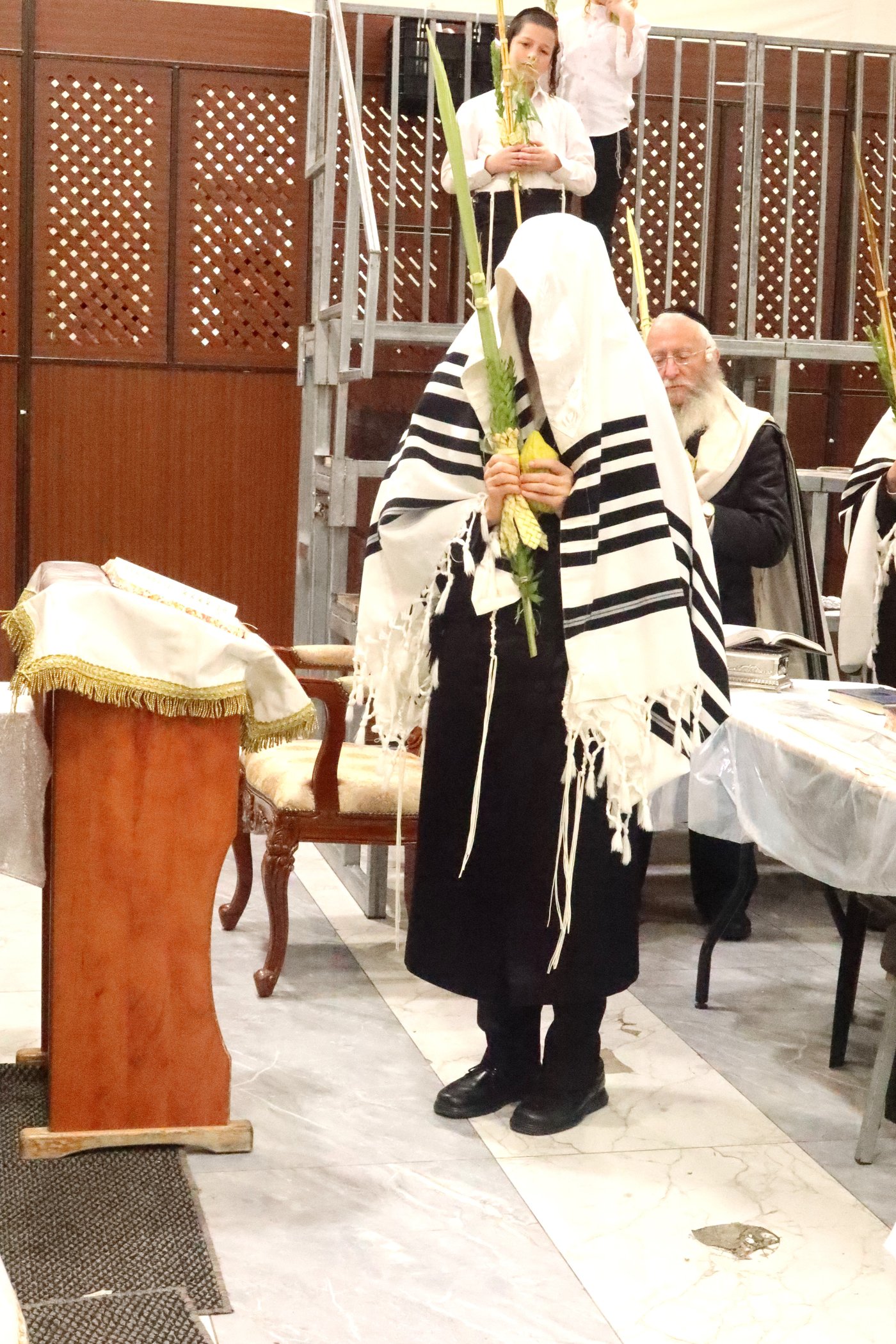 סוכות בחצה"ק זוועיהל