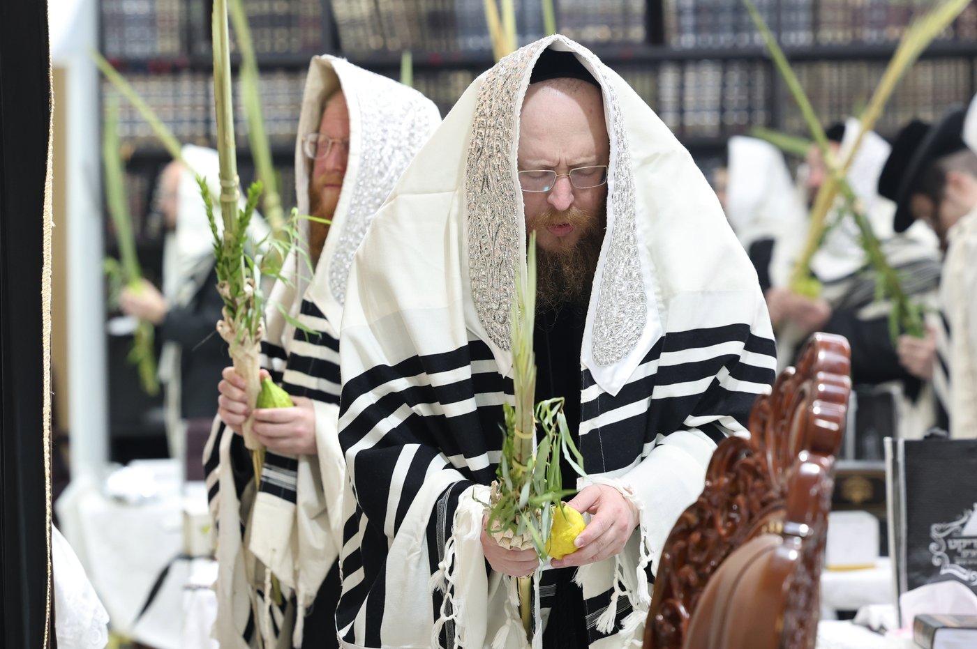 סוכות בחצר ספינקא בית שמש