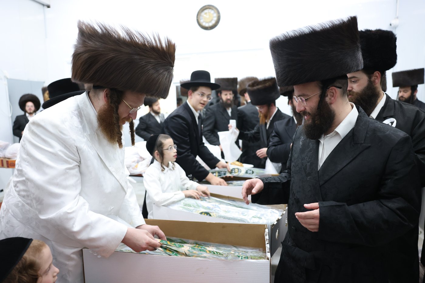 סוכות בחצר ספינקא בית שמש