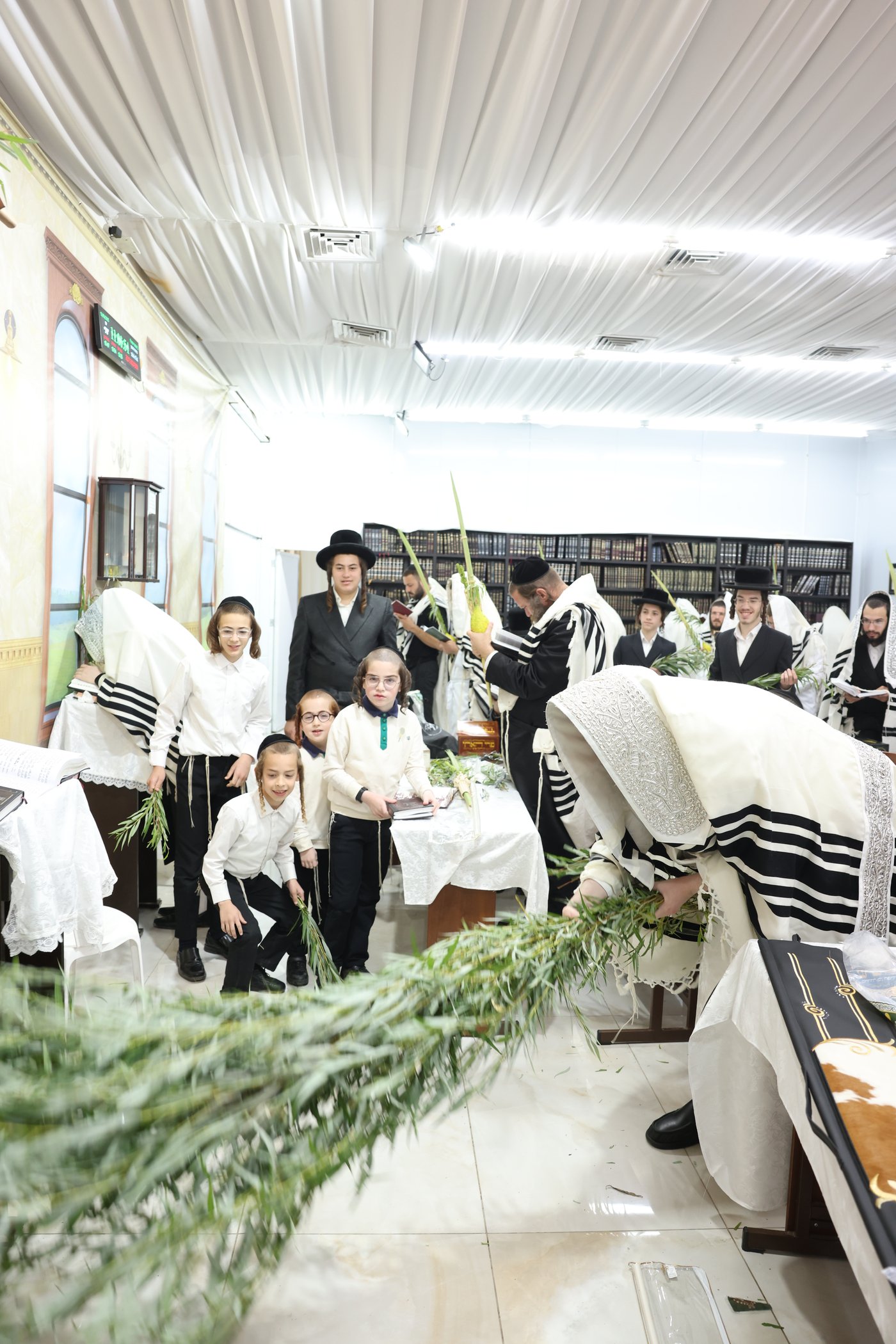 סוכות בחצר ספינקא בית שמש