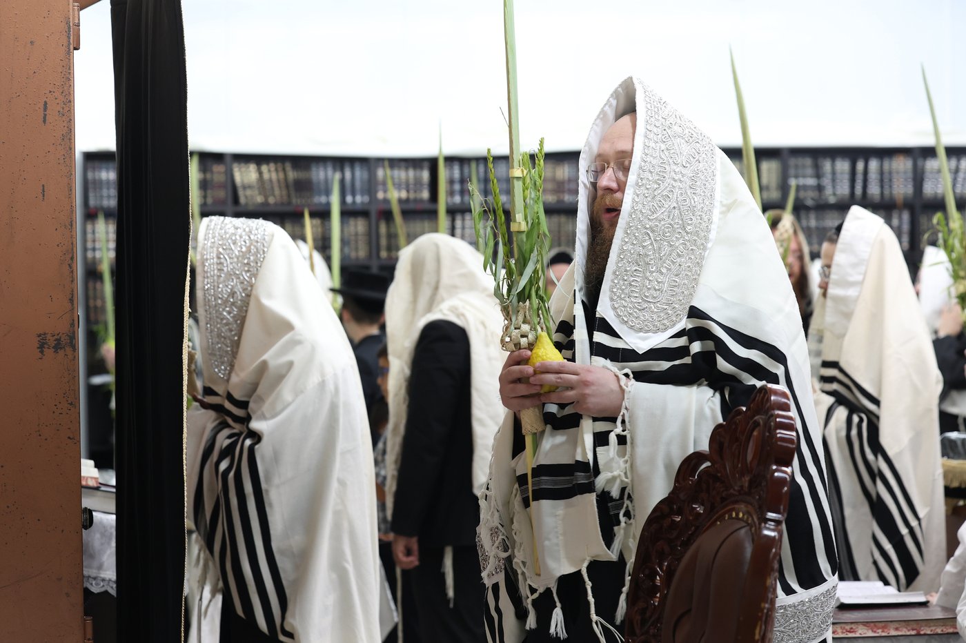 סוכות בחצר ספינקא בית שמש