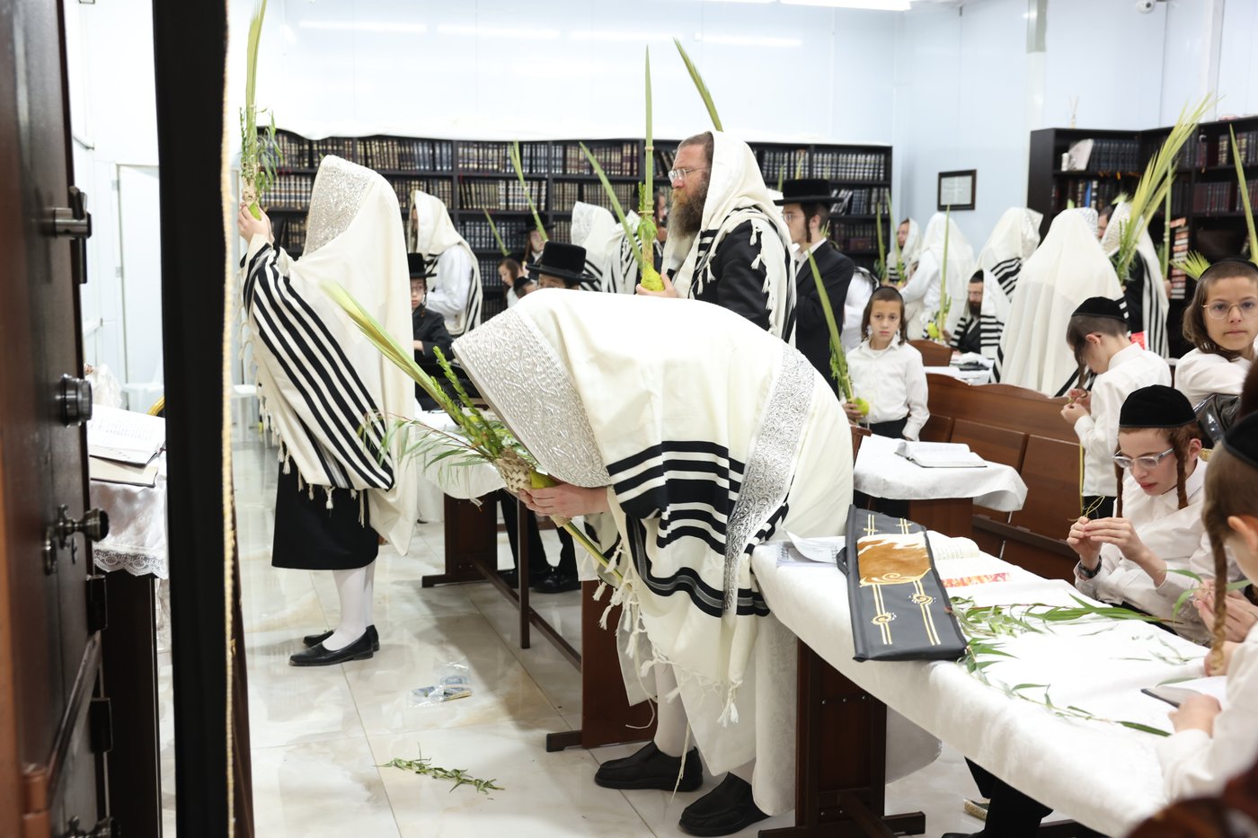סוכות בחצר ספינקא בית שמש
