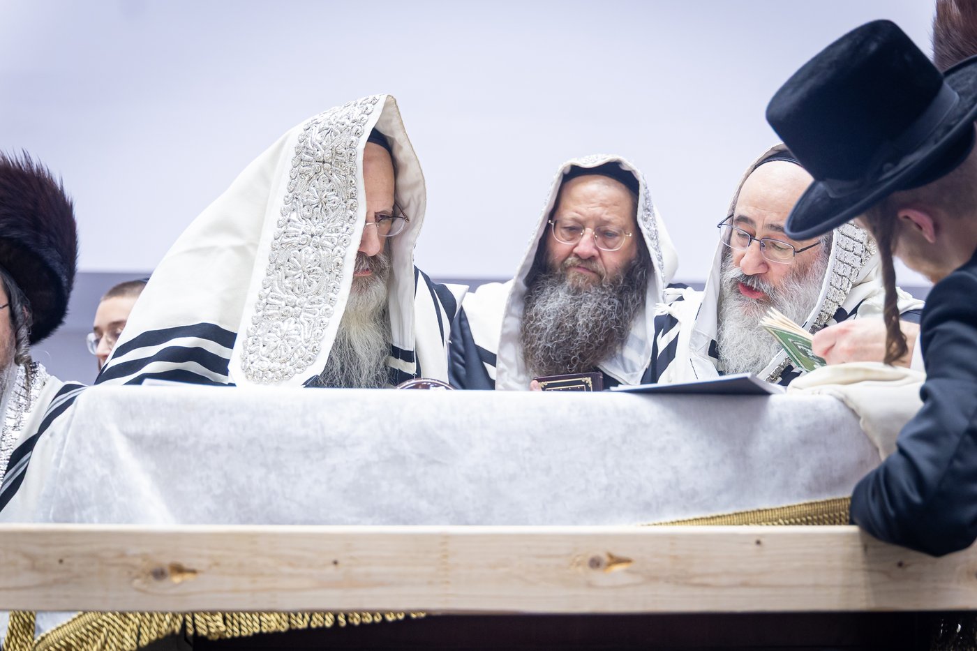 חג הסוכות ושמחת תורה בחצה"ק באבוב 45