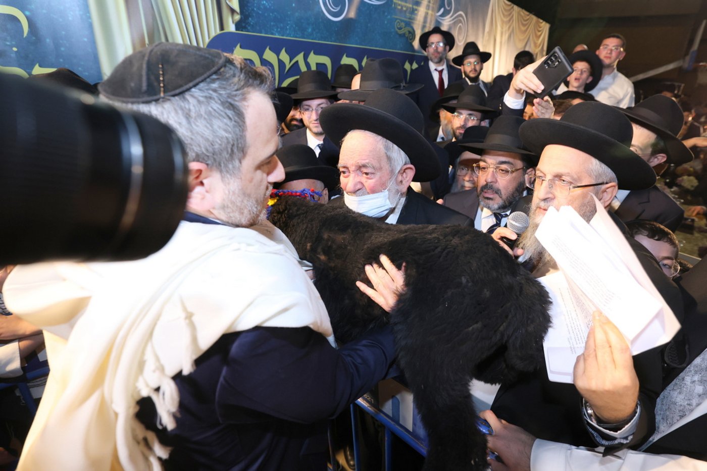 פדיון פטר חמור בבית וגן