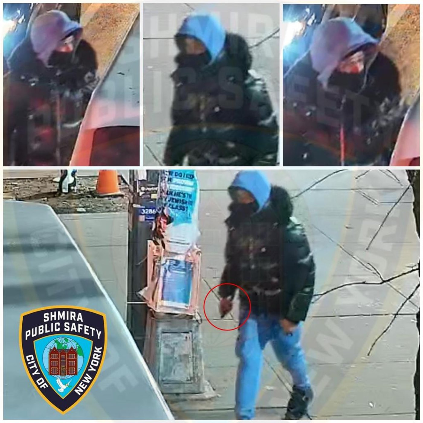 הפרסום שהופץ עבור הציבור