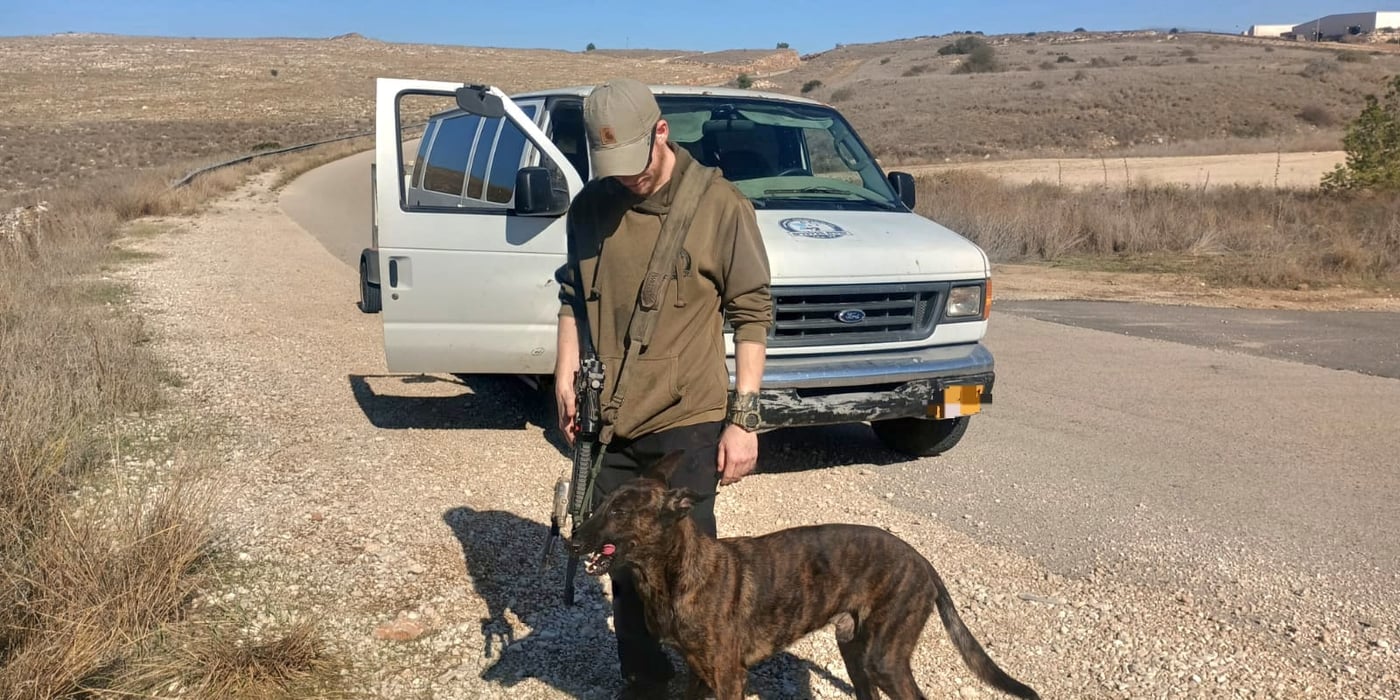 החיפושים אחרי מרדכי