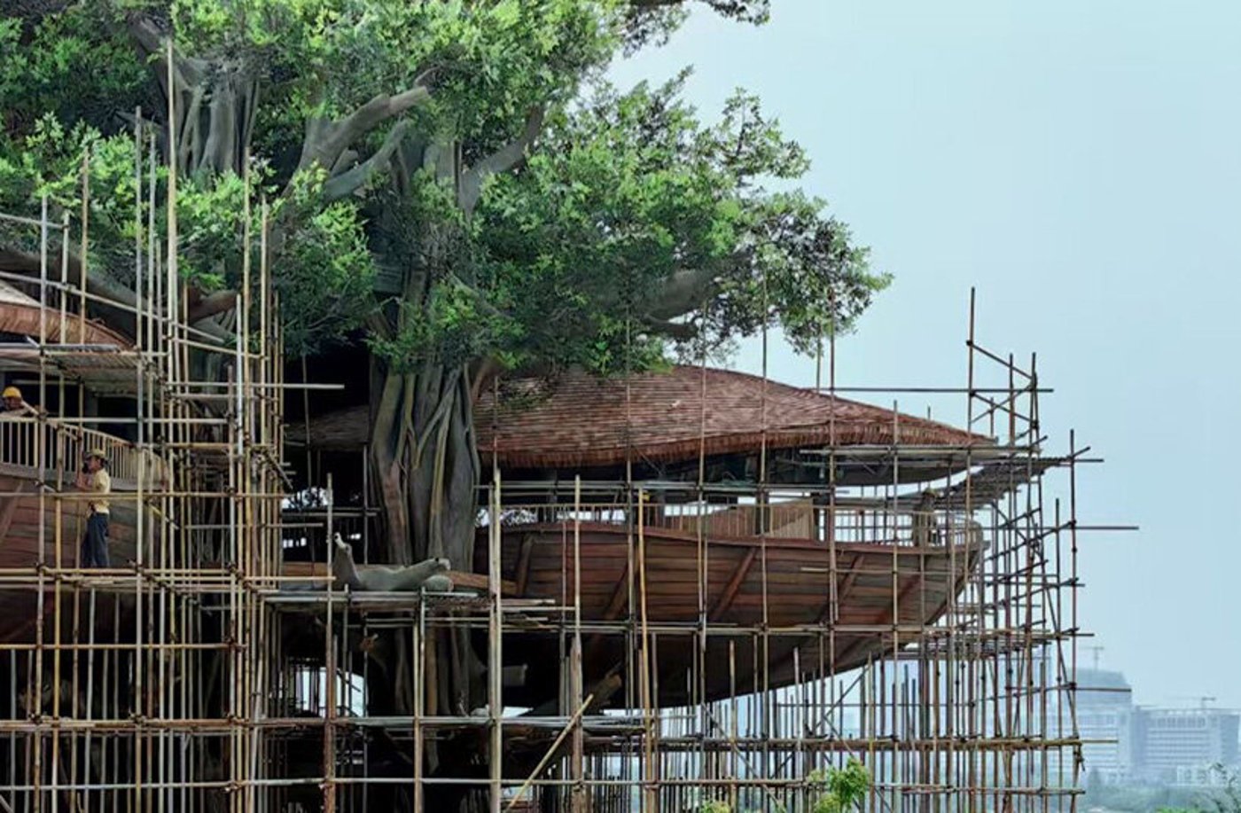 תהליך הבנייה