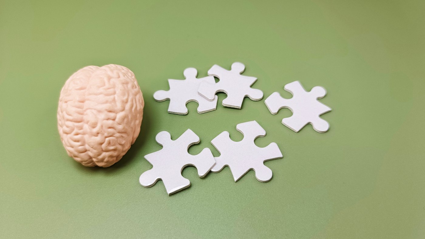 חמישה שלבים בהתפתחות המוח