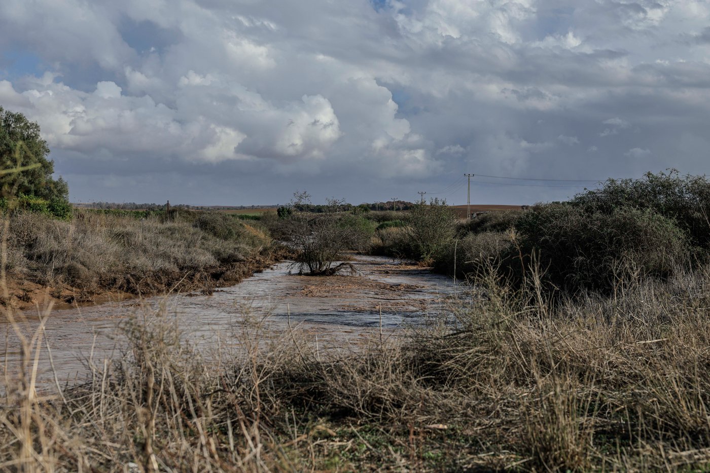 נחל שקמה, אתמול