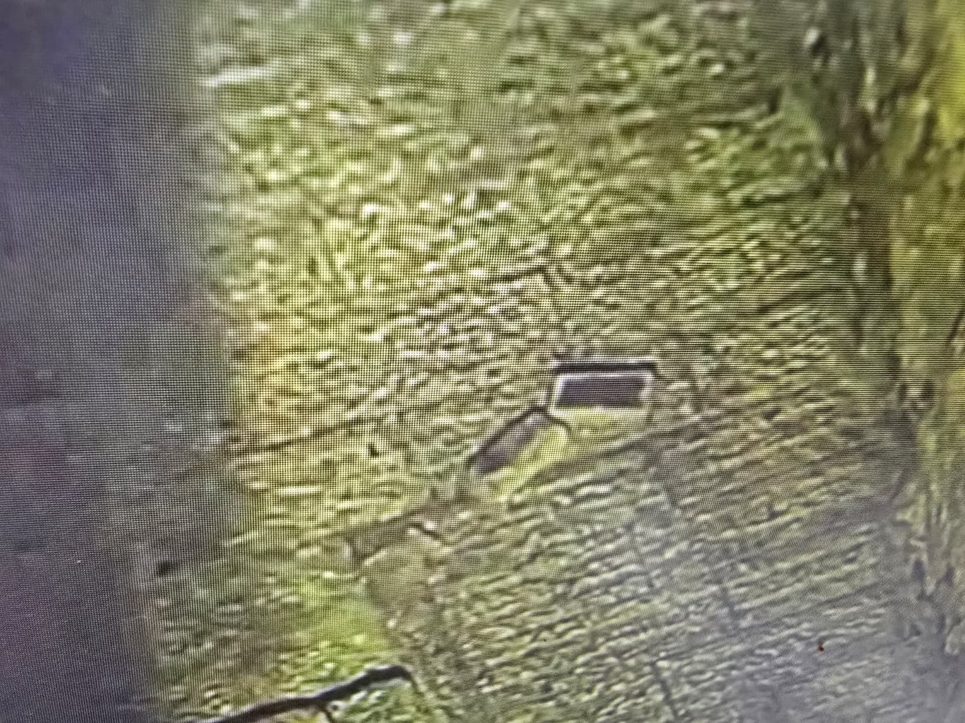 משטרת ירושלים עצרה שני קטינים שיידו אבנים ובקבוקים בעיר העתיקה
