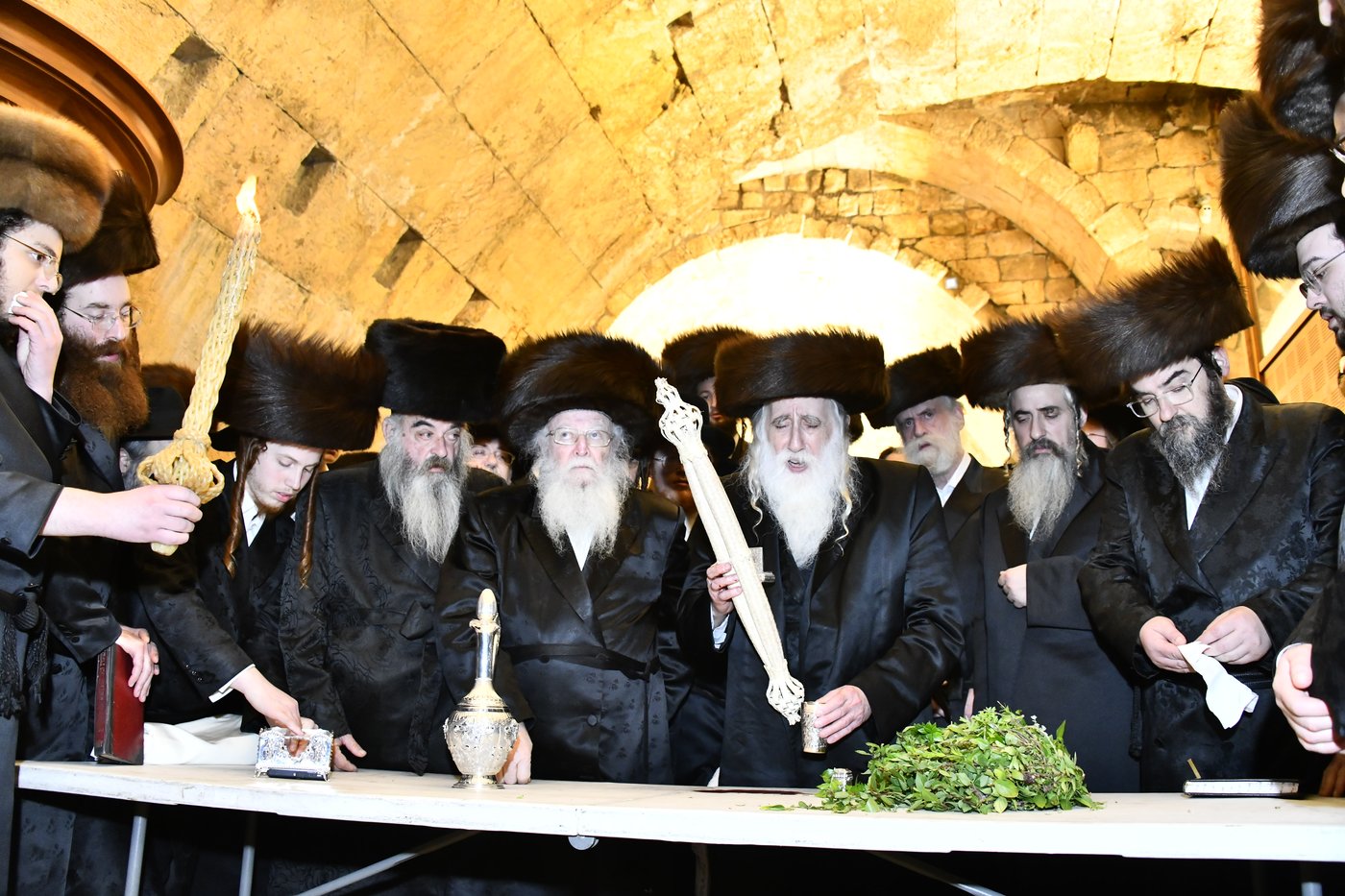 שבת מקדש מלך במכנובקא בעלזא