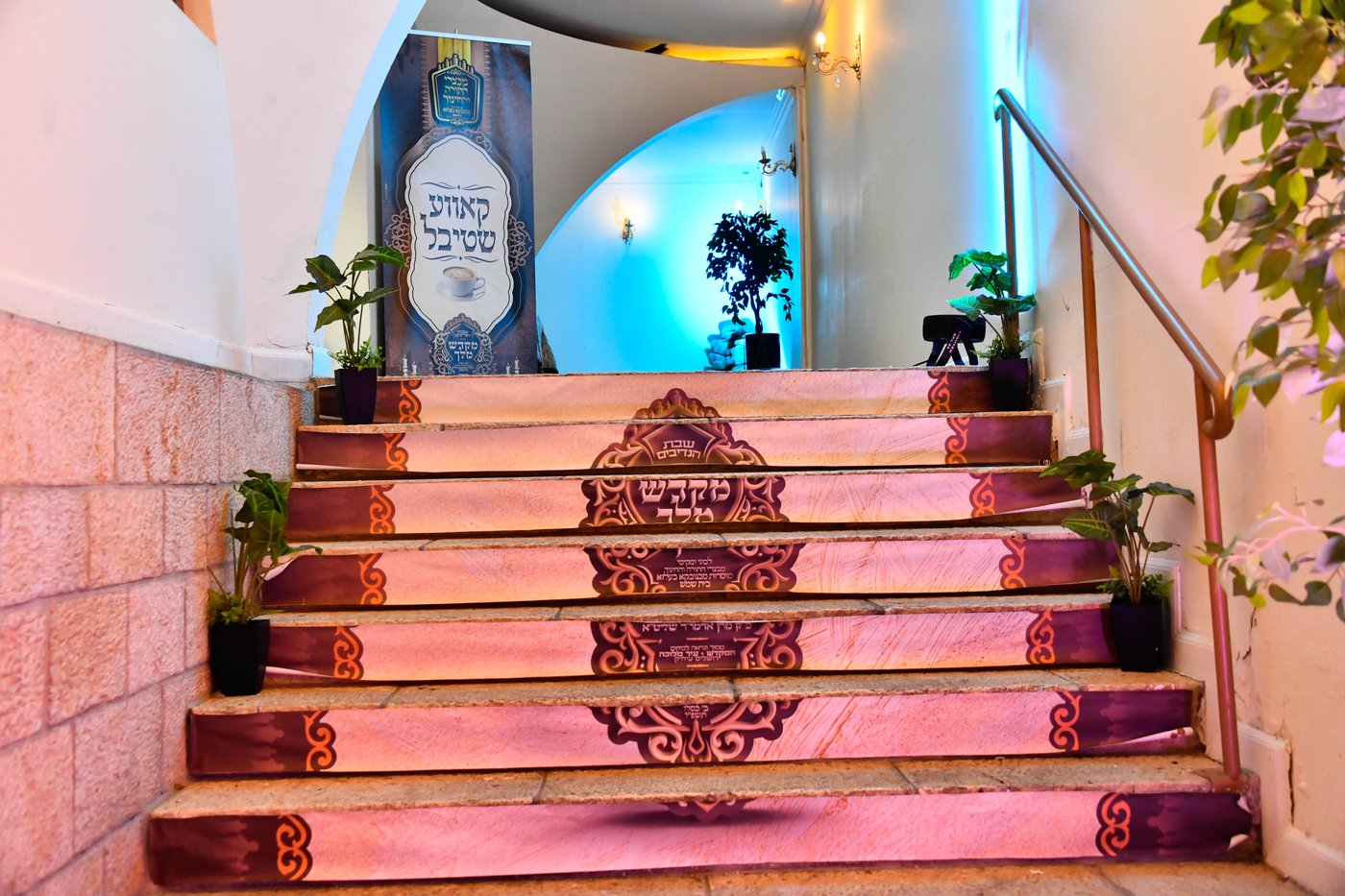 שבת מקדש מלך במכנובקא בעלזא