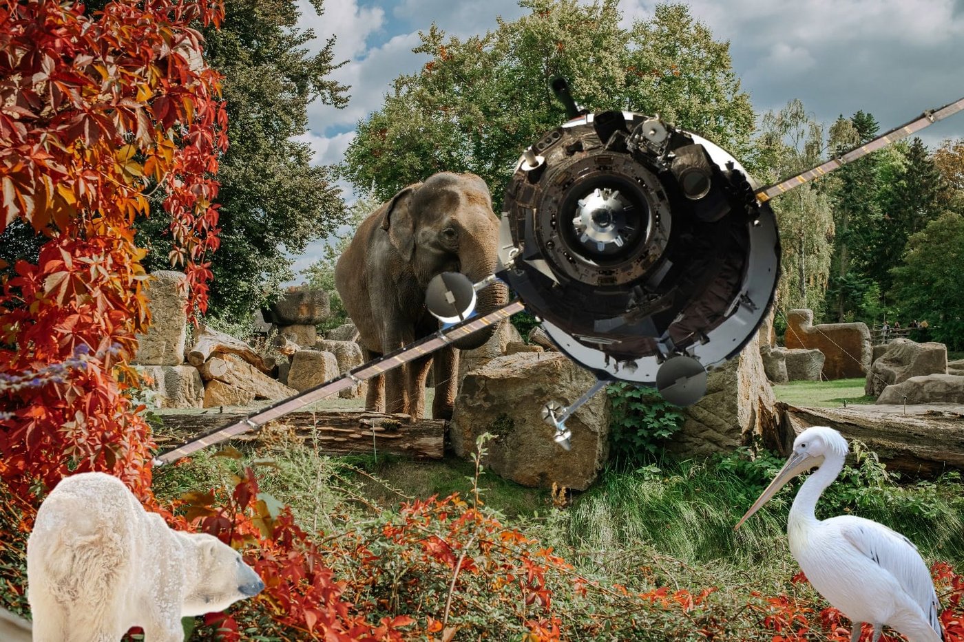 אילוסטרציה