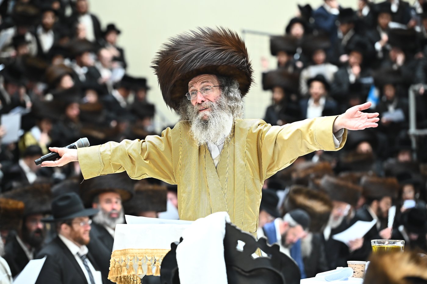 הרה"צ רבי אלימלך בידרמן בהילולת ה'בת עין'