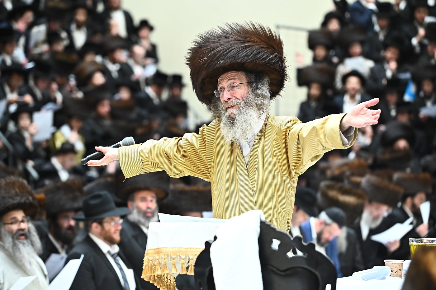 הרה"צ רבי אלימלך בידרמן בהילולת ה'בת עין'