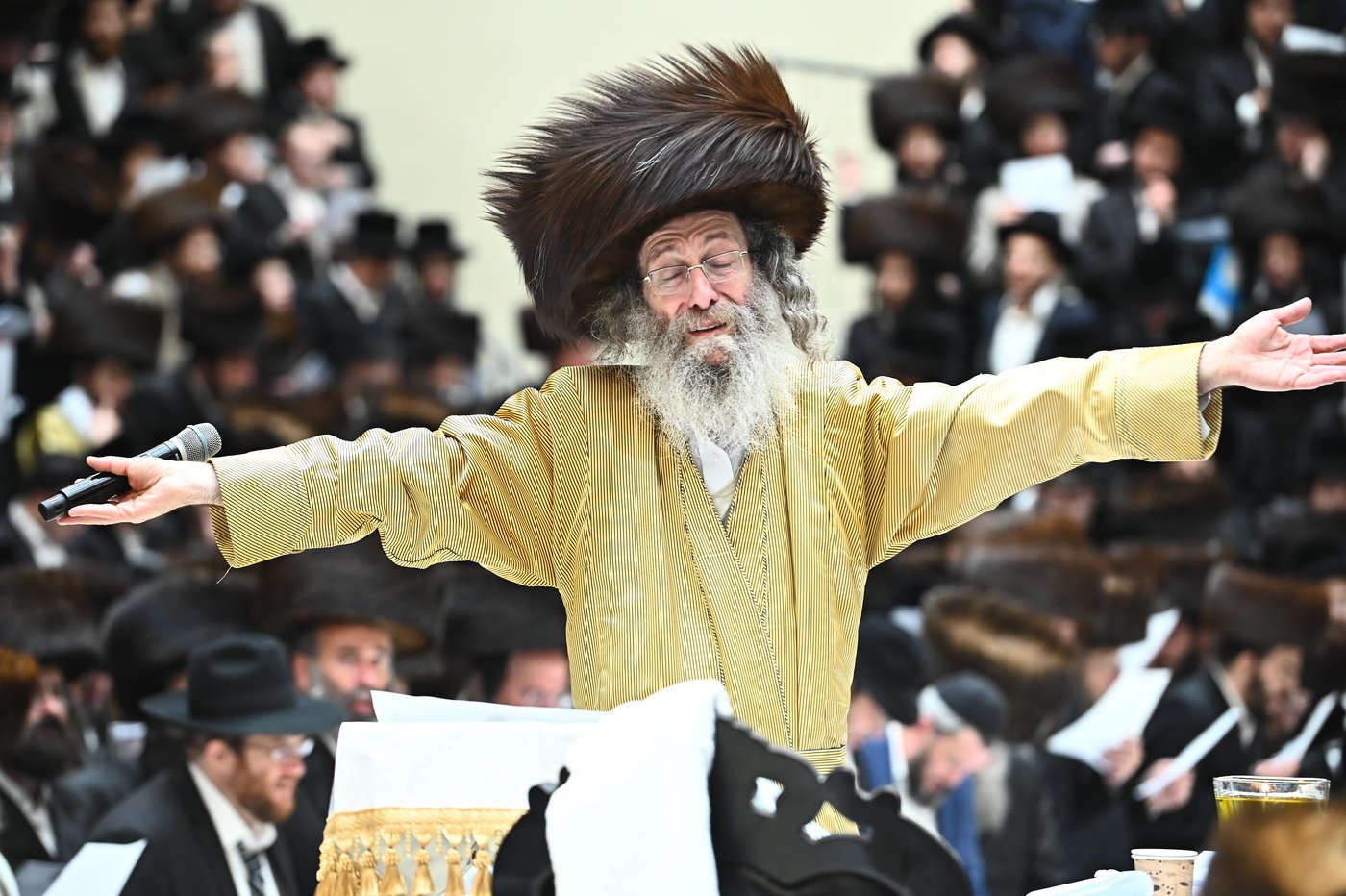 הרה"צ רבי אלימלך בידרמן בהילולת ה'בת עין'