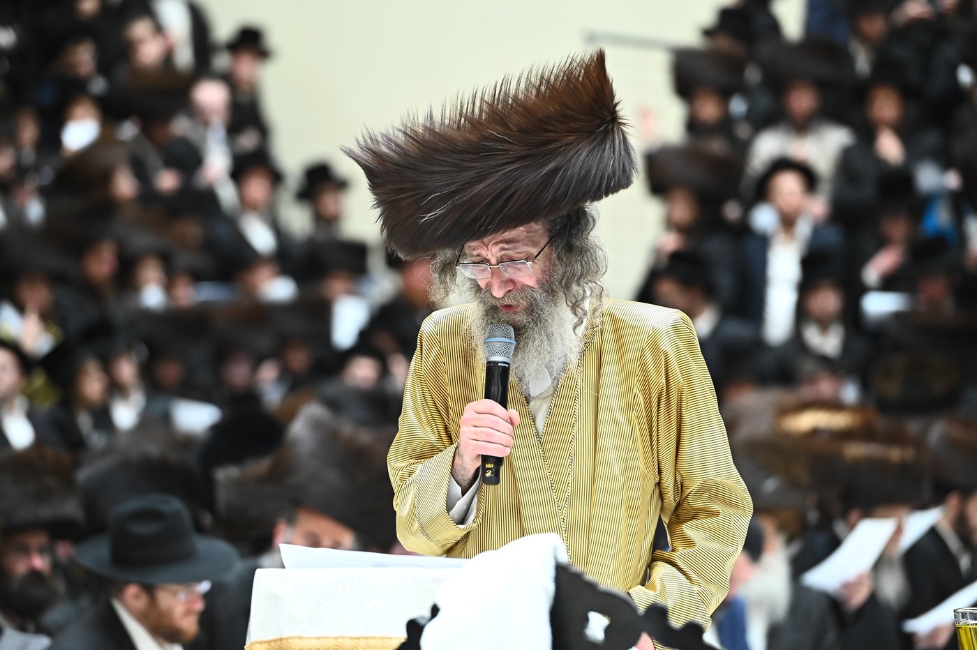 הרה"צ רבי אלימלך בידרמן בהילולת ה'בת עין'