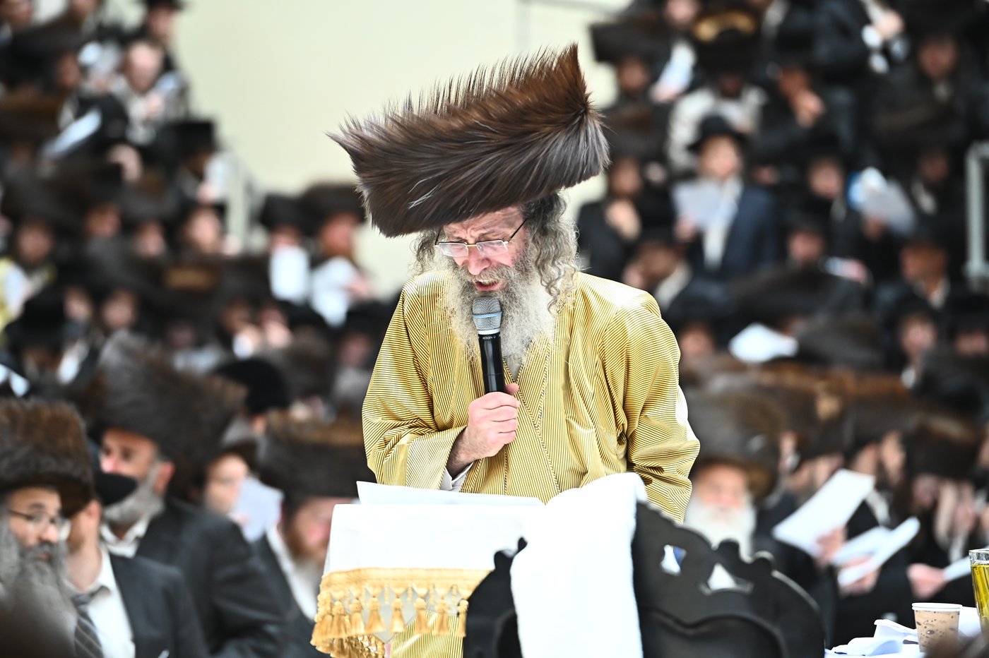 הרה"צ רבי אלימלך בידרמן בהילולת ה'בת עין'