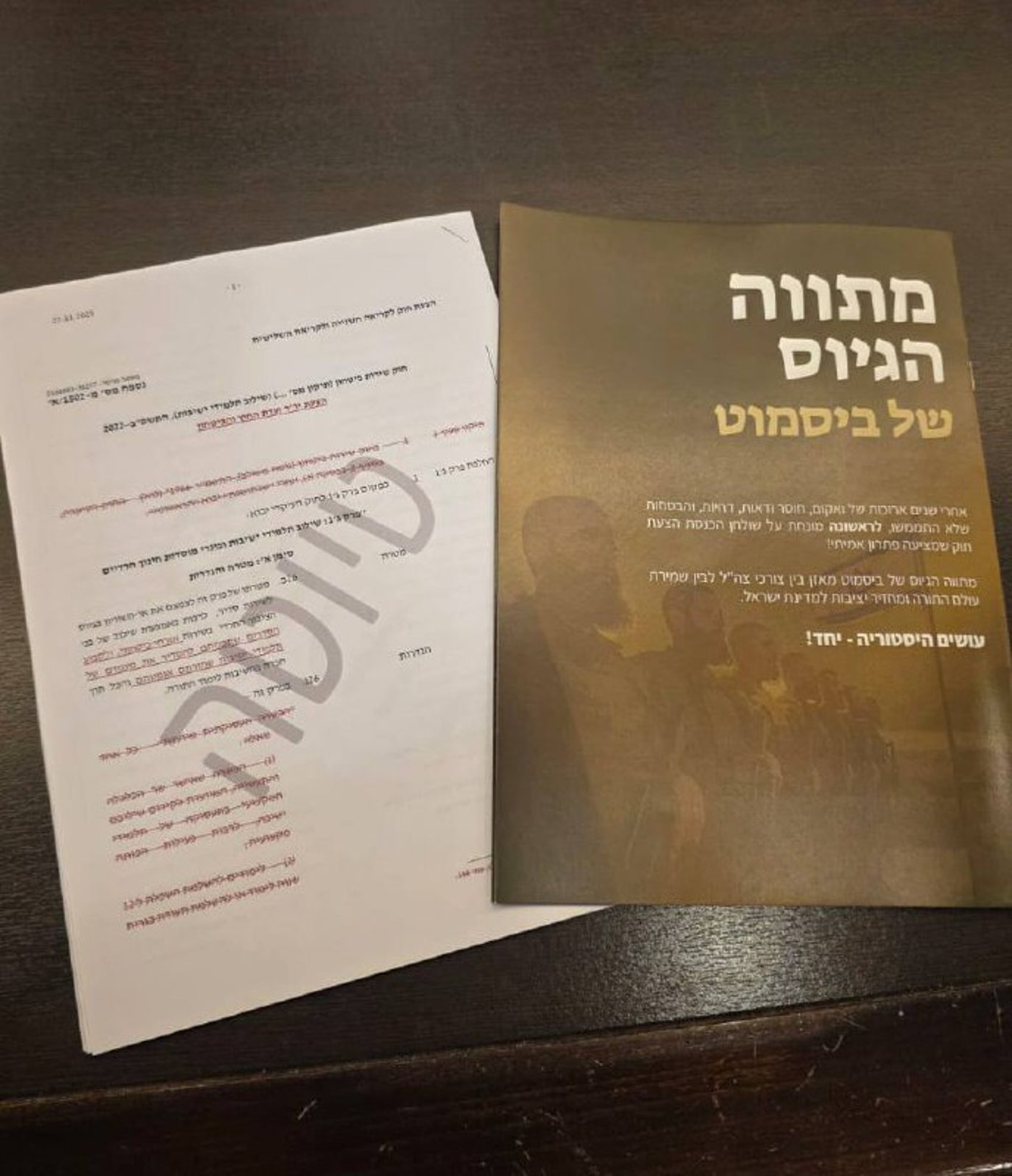 מתווה הגיוס שהוכן לנוכחים בוועדה