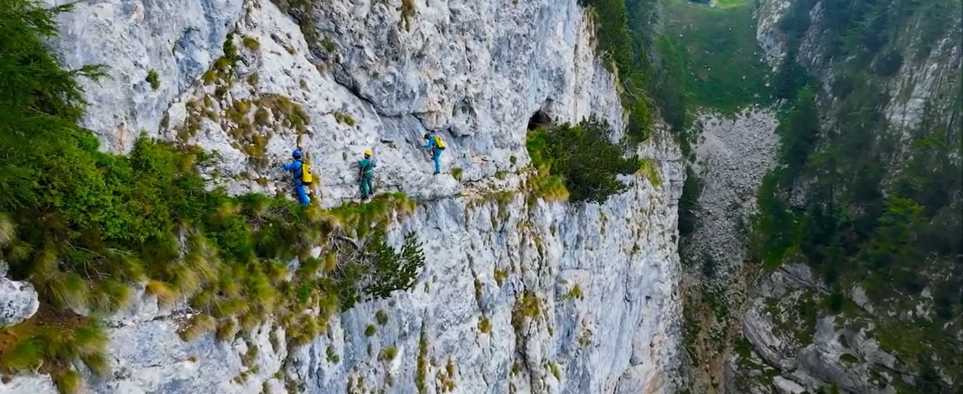 כוורנים של Centauri מטפסים על הרים בטורקיה בשביל לרדות את הדבש הנדיר
