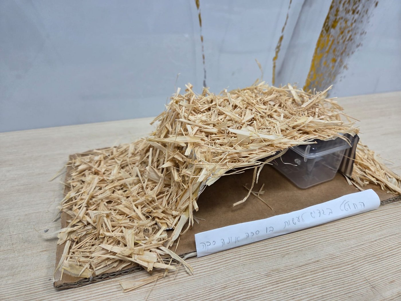 יצירת הסוכות של ילדי ת"ת 'חזון מאיר' ובית ישראל