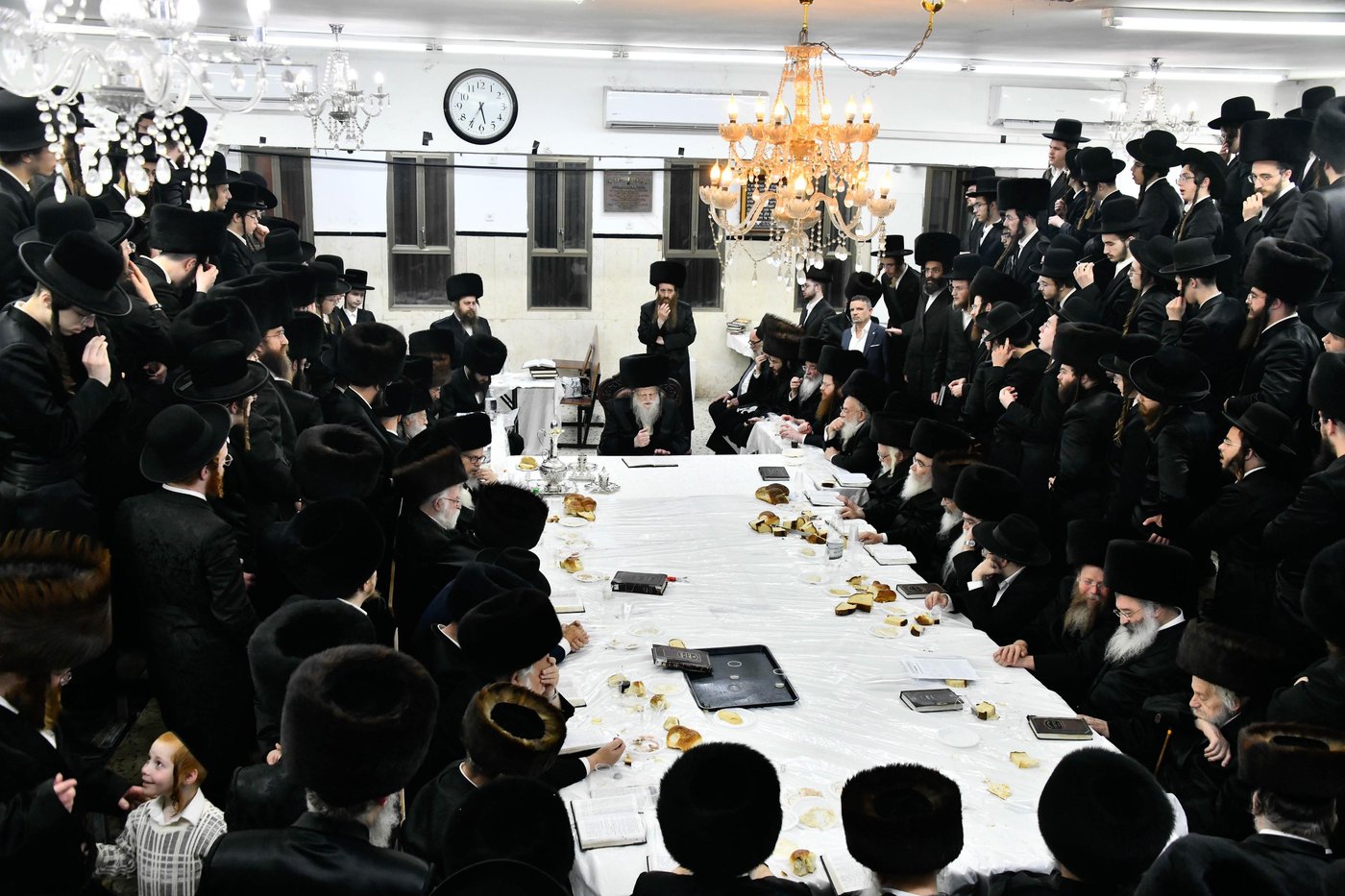 הילולא קדישא במודז'יץ