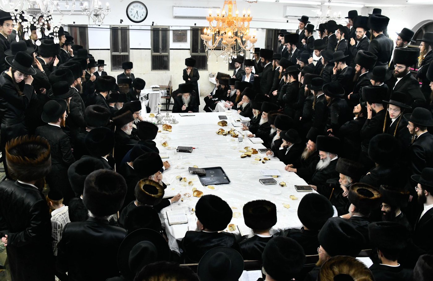 הילולא קדישא במודז'יץ