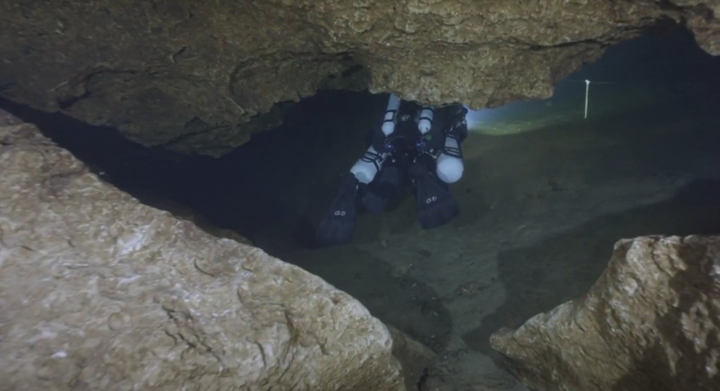 לא לומדים לקח - צוללנים יורדים לתוך הקן