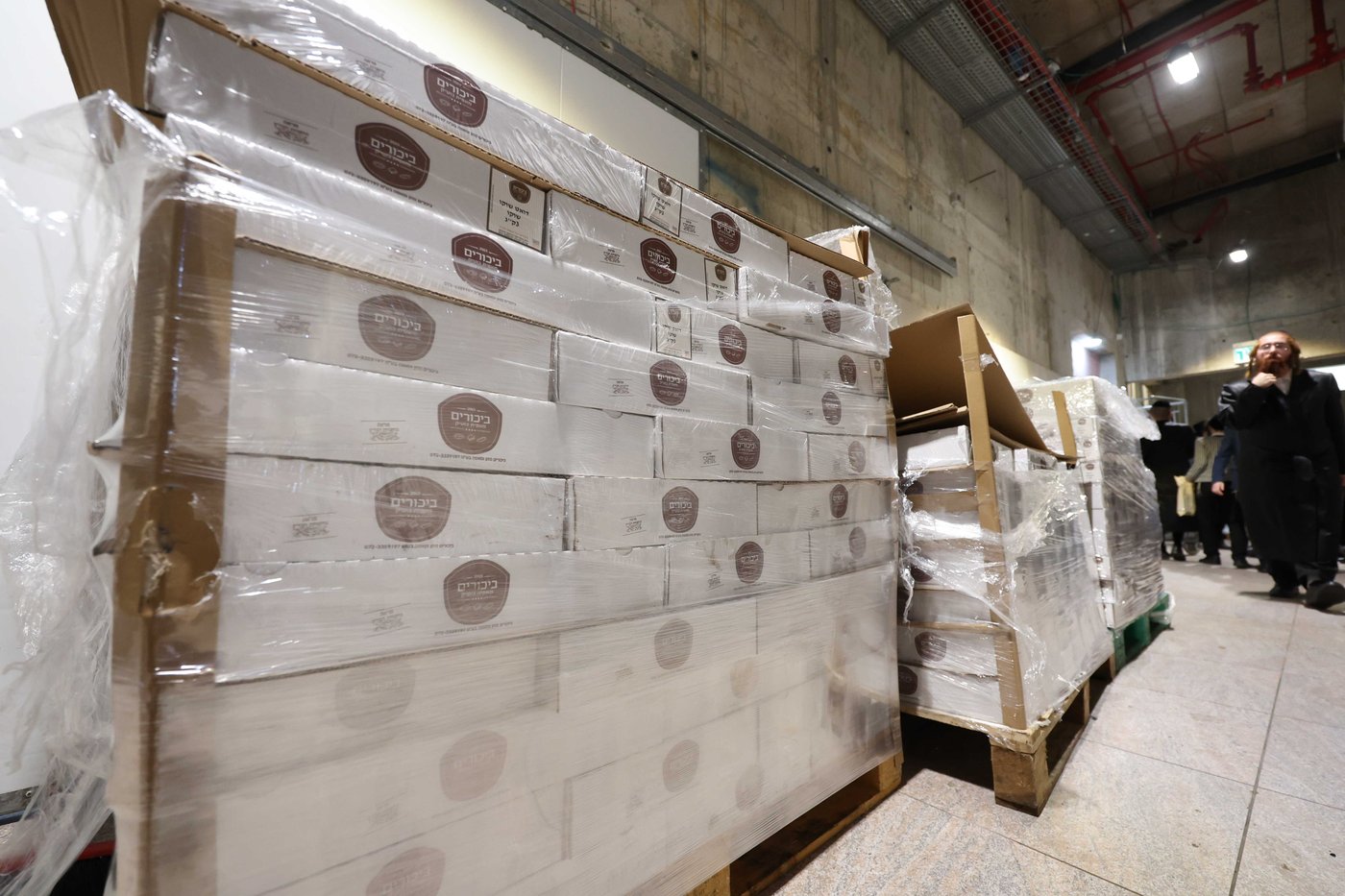 כינוס נגד פגעי הטכנולוגיה ע"י הגה"צ רבי צבי מאיר זילברברג