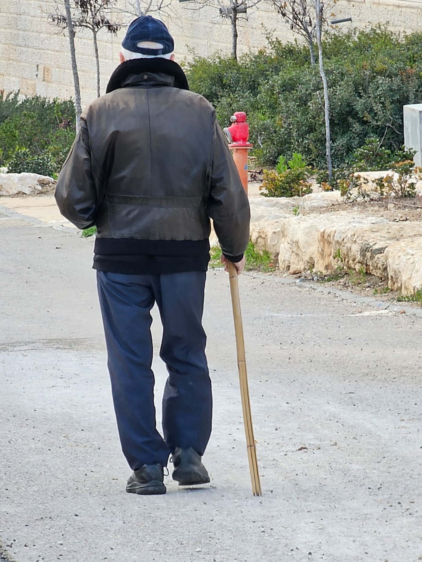 עזרה לכל החיים