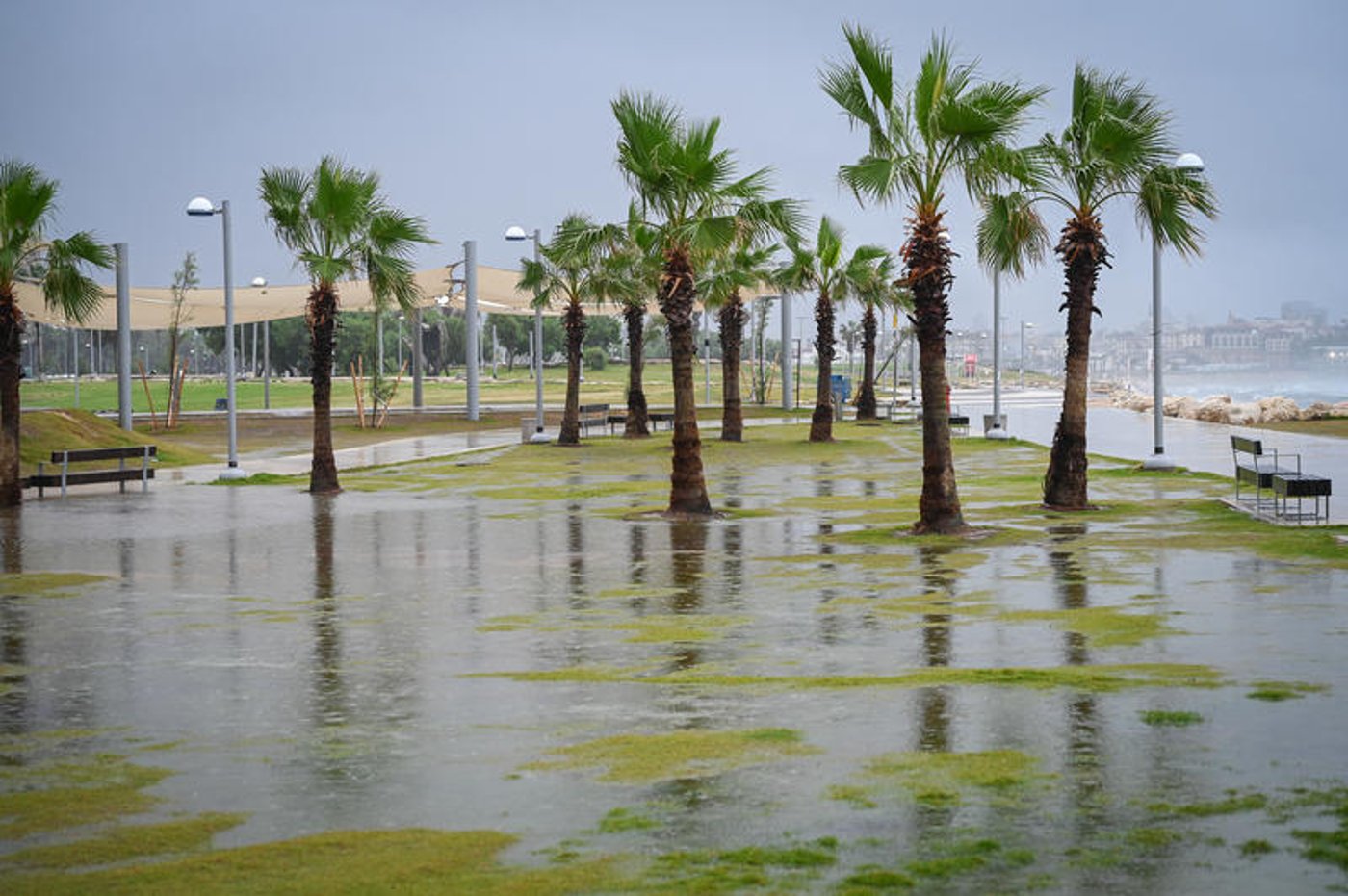 רחובות מוצפים, קניות "רטובות" לשבת, כלי רכב בתוך נהרות | 31 רגעים מ"ביירון"