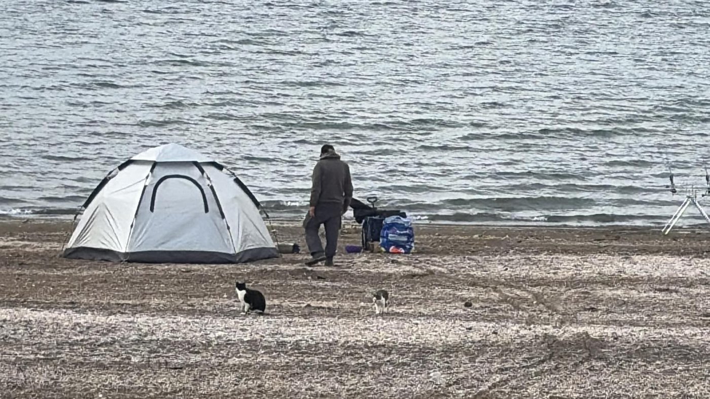 חוף דוגית, הבוקר