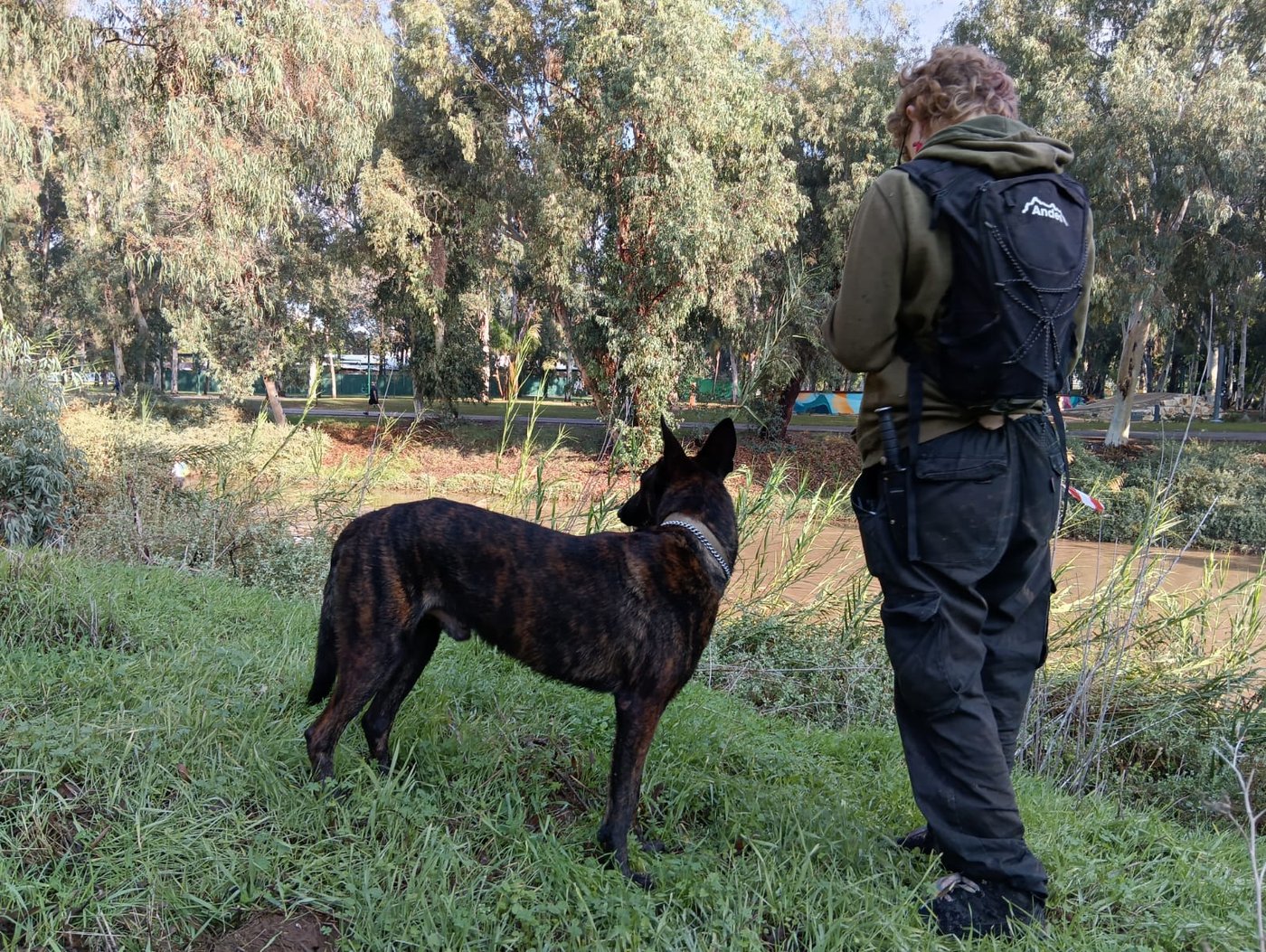החיפושים ביום שישי