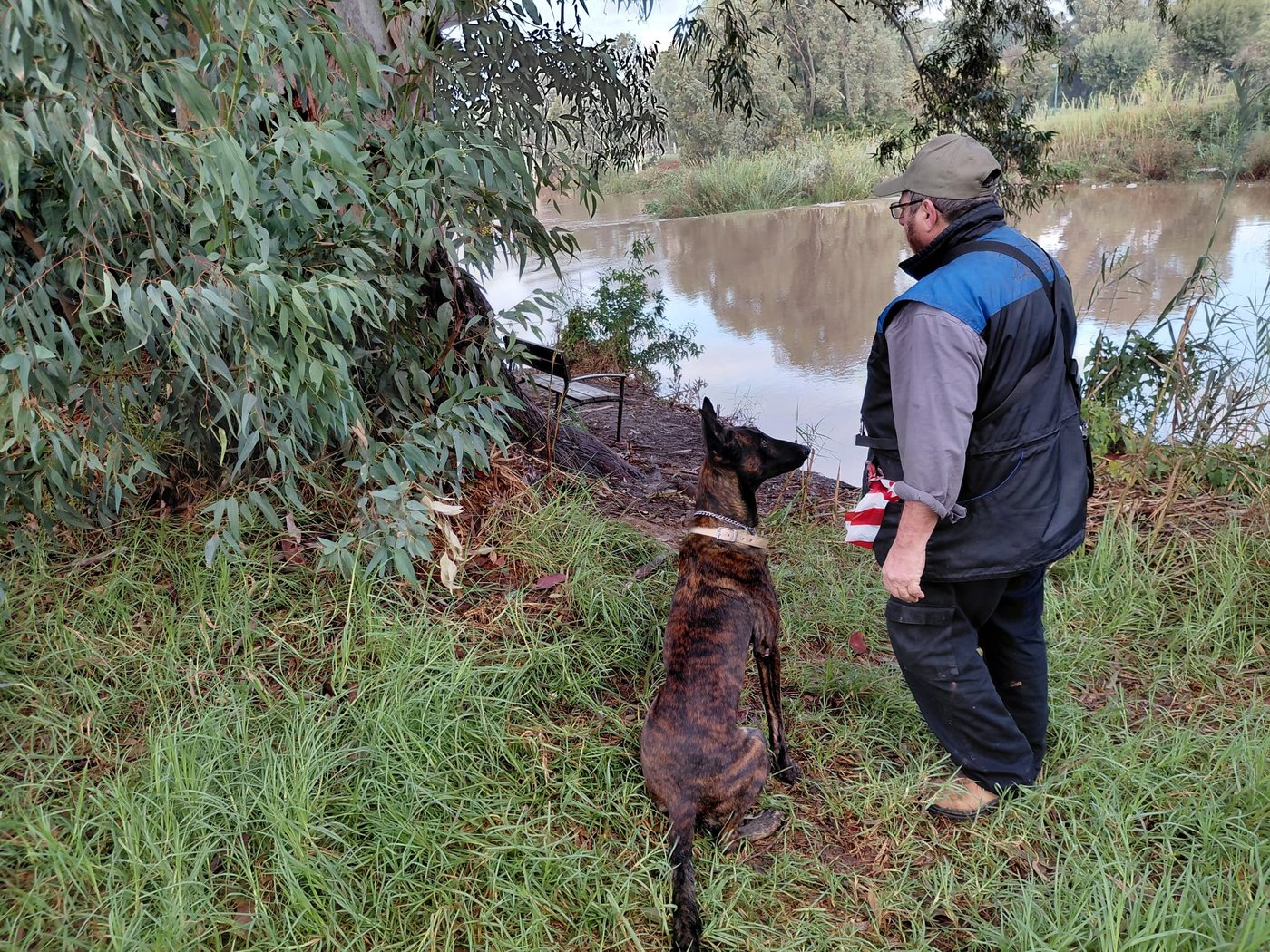 החיפושים ביום שישי