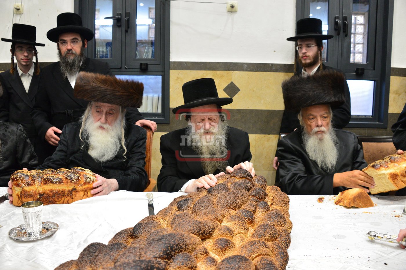 שמחת הפדיון הבן בחצה"ק מחנובקא - מאקווא אשדוד - סערט ויז'ניץ 