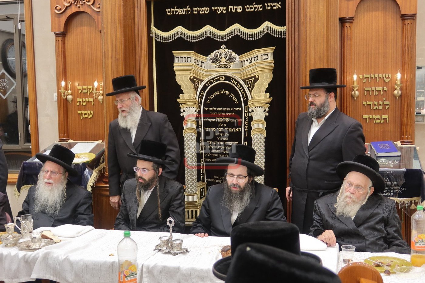 הילולת האדמו"ר מצאנז זוועהיל ארה"ב 