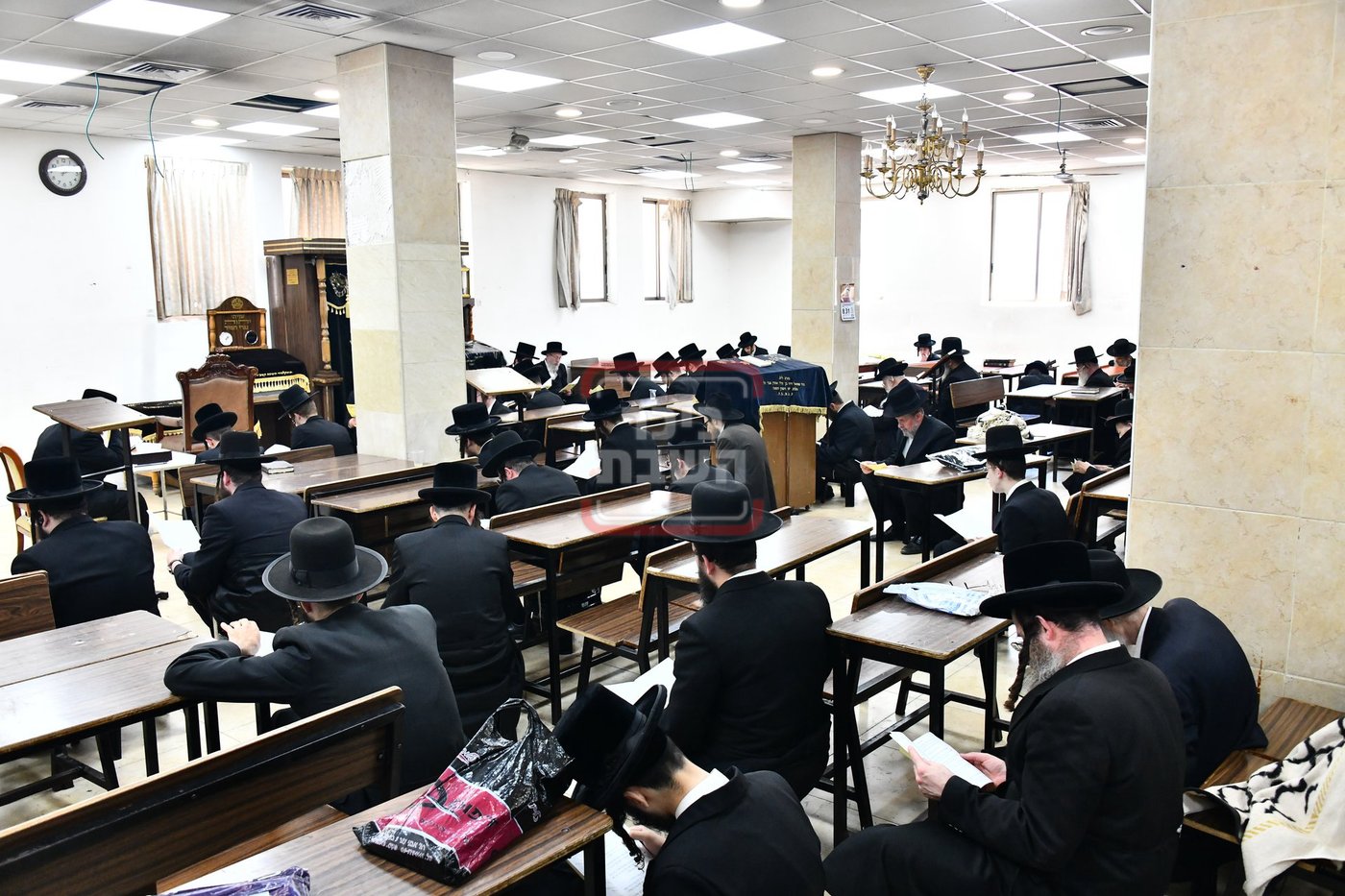 האדמו"ר משבט הלוי בתיקון חצות