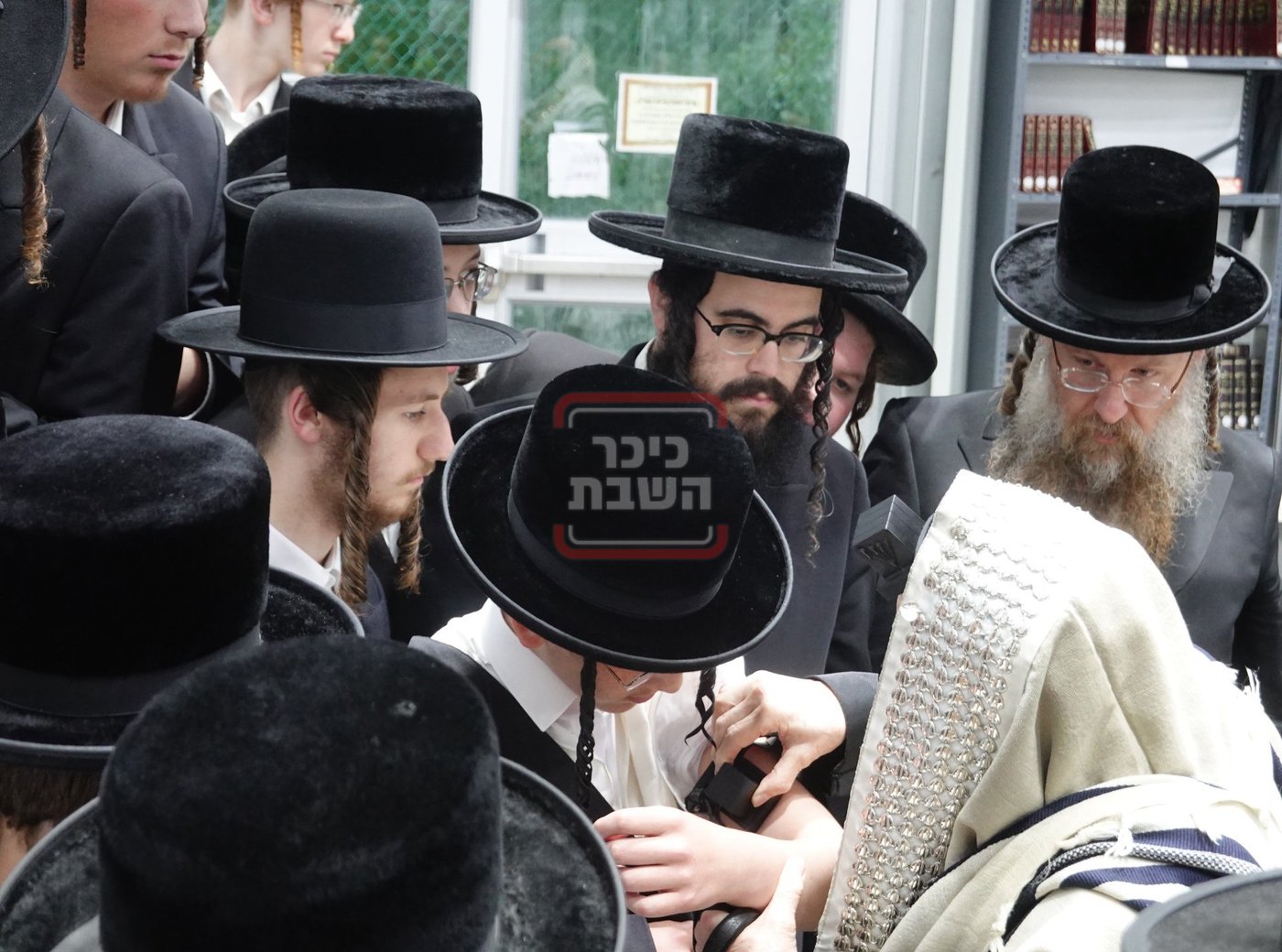 מעמד הנחת תפילין לנכד האדמו"ר מסערדאהעלי בקאנטרי
