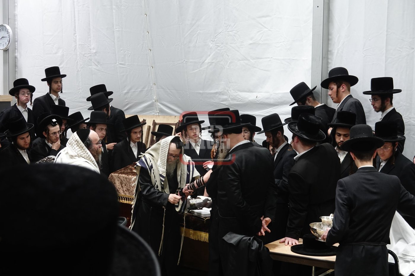 מעמד הנחת תפילין לנכד האדמו"ר מסערדאהעלי בקאנטרי