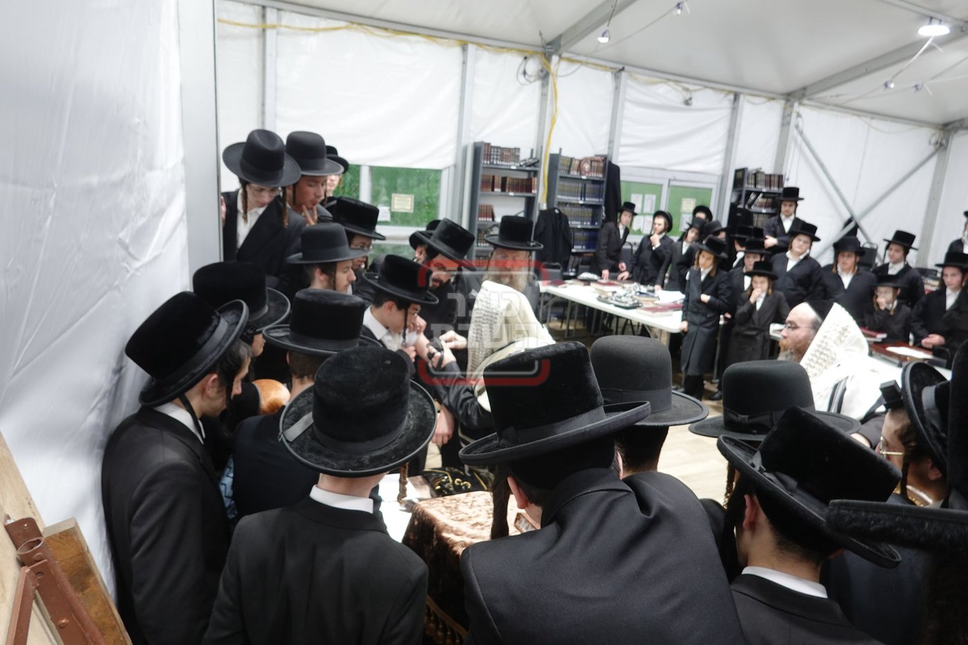 מעמד הנחת תפילין לנכד האדמו"ר מסערדאהעלי בקאנטרי