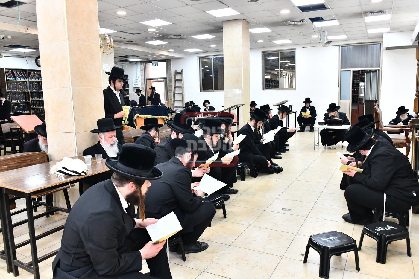 האדמו"ר משבט הלוי בתיקון חצות