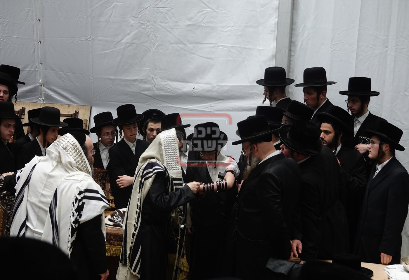 מעמד הנחת תפילין לנכד האדמו"ר מסערדאהעלי בקאנטרי