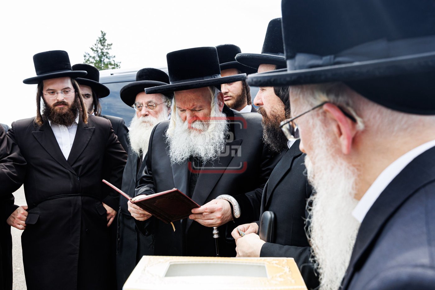 הילולא קדישא בבאבוב