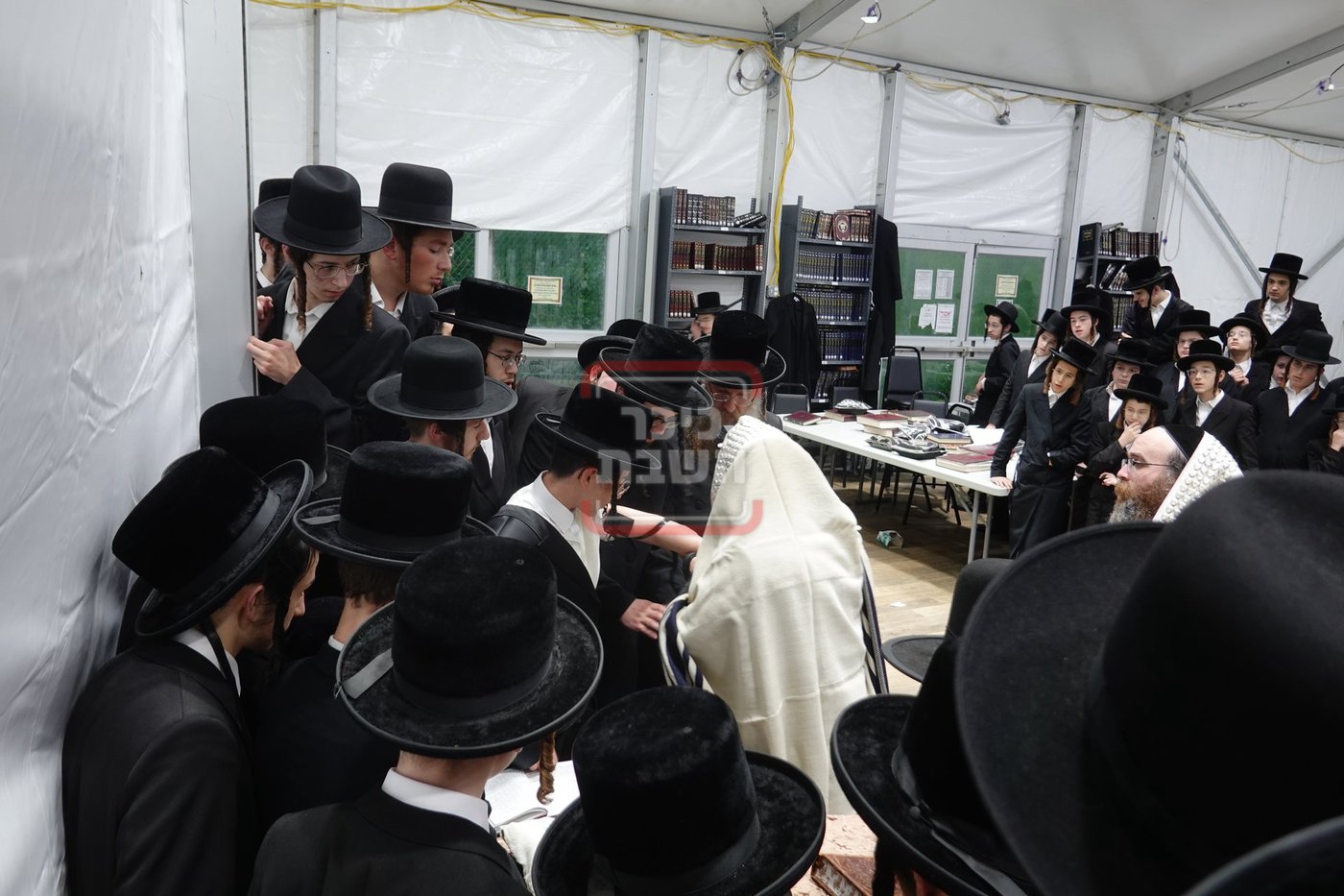 מעמד הנחת תפילין לנכד האדמו"ר מסערדאהעלי בקאנטרי